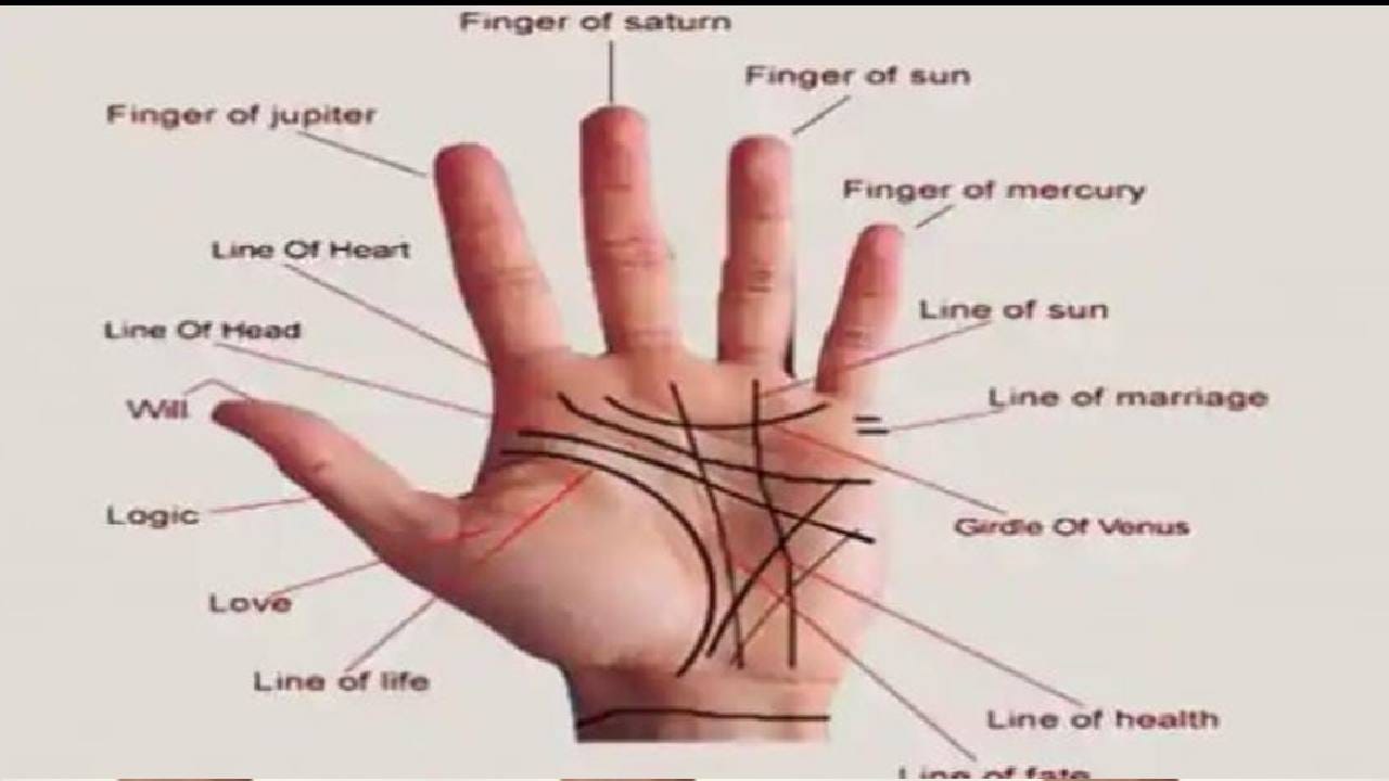 New Lead Fream (1) (16)