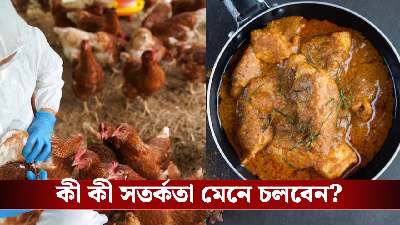 বার্ড ফ্লু নিয়ে আতঙ্কে? চিকেন খাওয়া বন্ধ না করে জানুন নিরাপদ উপায় বার্ড ফ্লু নিয়ে আতঙ্কে? চিকেন খাওয়া বন্ধ না করে জানুন নিরাপদ উপায়