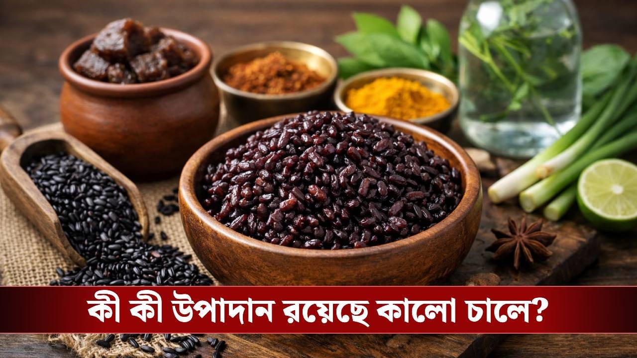 কালো চাল নাকি ‘সুপারফুড’! বলেছেন প্রধানমন্ত্রীও, এর পুষ্টিগুণ শুনলে চমকে উঠবেন!