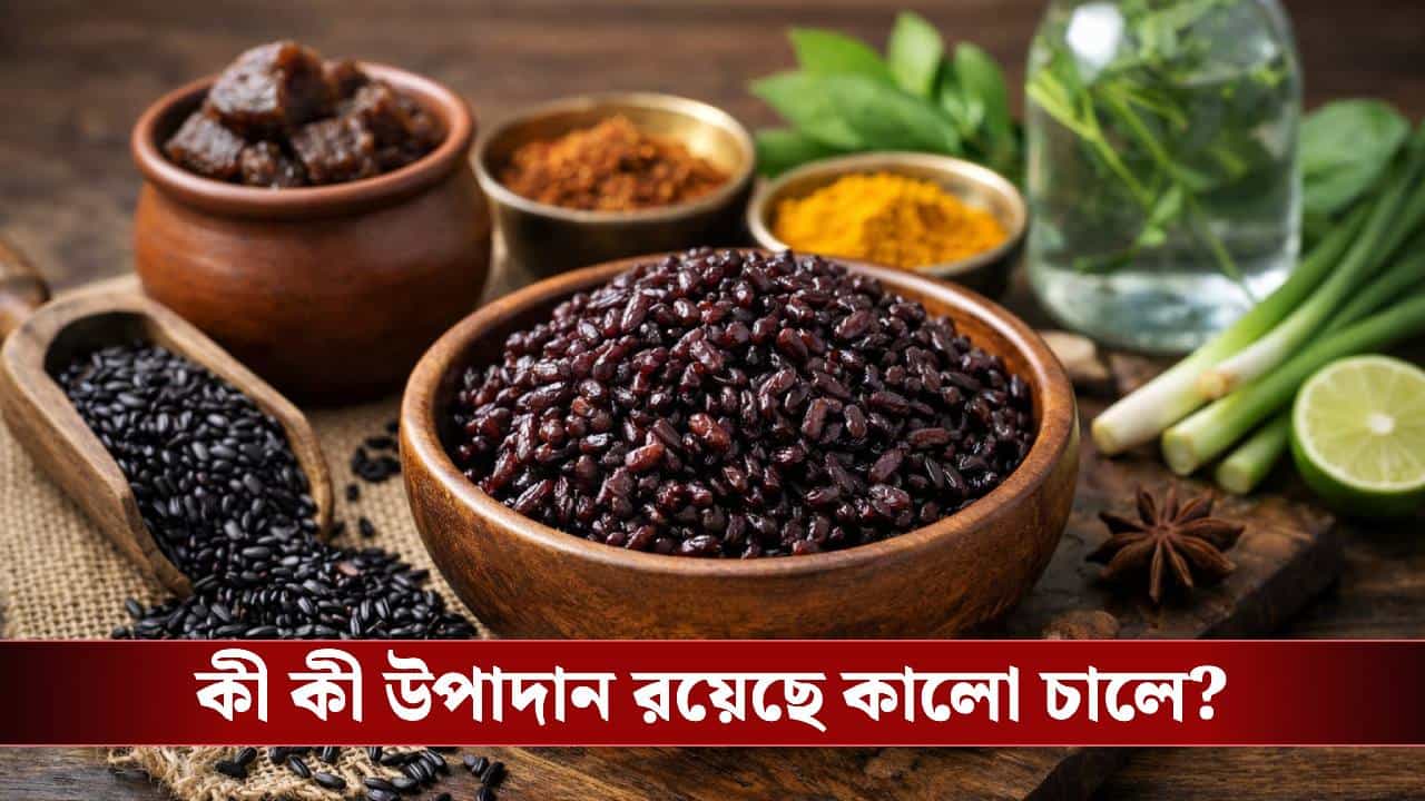 কালো চাল নাকি 'সুপারফুড'! বলেছেন প্রধানমন্ত্রীও, এর পুষ্টিগুণ শুনলে চমকে উঠবেন! কালো চাল নাকি 'সুপারফুড'! বলেছেন প্রধানমন্ত্রীও, এর পুষ্টিগুণ শুনলে চমকে উঠবেন!