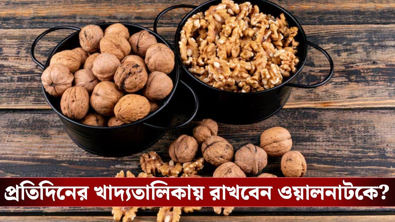 রোজ আখরোট খান? জানেন ব্রেনে কিভাবে প্রভাব ফেলছে? রোজ আখরোট খান? জানেন ব্রেনে কিভাবে প্রভাব ফেলছে?