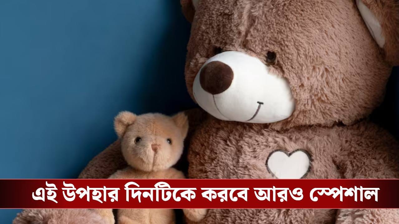Teddy Day Gift Ideas: টেডি ডে-তে কী দেবেন? জেনে নিন ট্রেন্ডিং ইউনিক গিফট আইডিয়া
