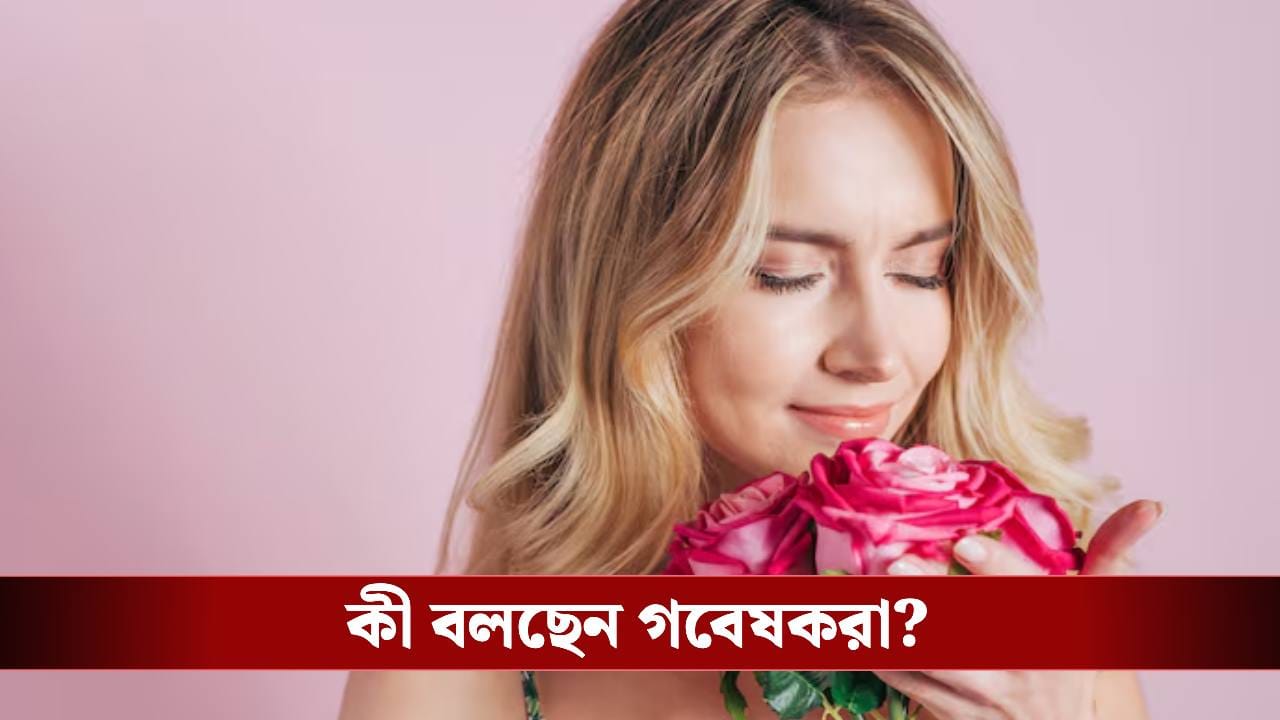 Rose Day 2026: আপনার সঙ্গী মানসিক চাপে ভুগছেন? রোজ দিন গোলাপ! Rose Day 2026: আপনার সঙ্গী মানসিক চাপে ভুগছেন? রোজ দিন গোলাপ!