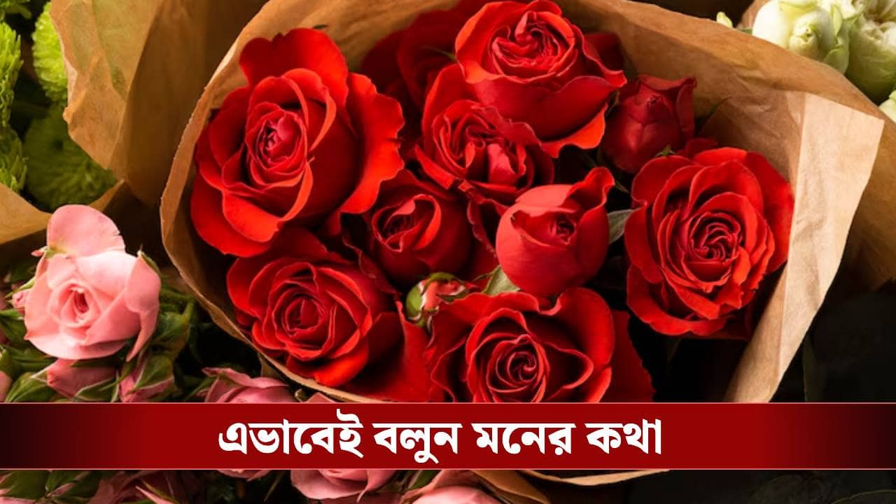 Rose Day 2026 Date: রঙে লুকিয়ে মনের কথা, কোন রঙের গোলাপ দেবেন প্রিয়জনকে?