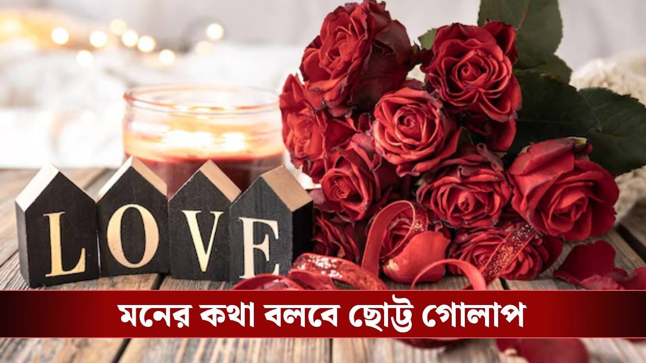 Rose Day 2026: জানেন কোথা থেকে এল এই Rose Day? ইতিহাসের পাতায় লুকিয়ে কোন প্রেমের গল্প?