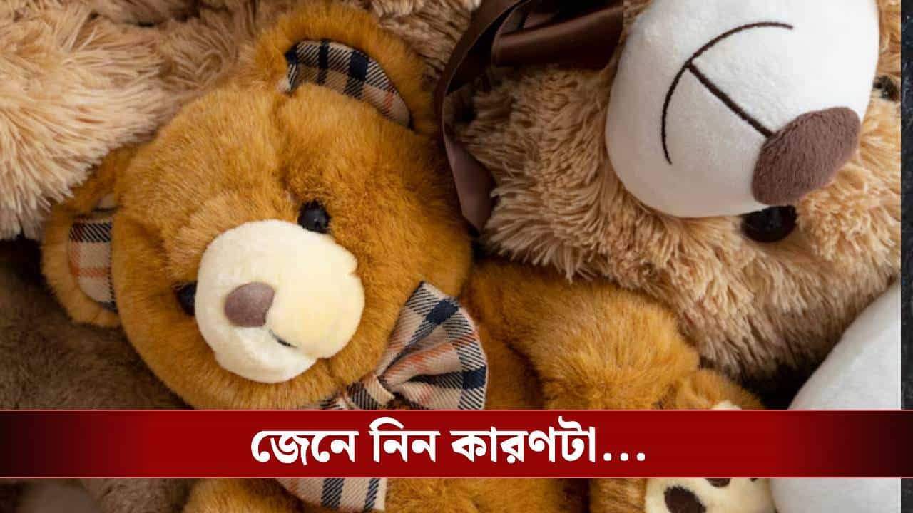 Teddy Day 2026 Date: প্রেমের সপ্তাহে কেন প্রিয়জনকে ‘টেডি’ দিতে হয় জানেন?