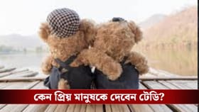 টেডি ডে-র নেপথ্যে রয়েছেন মার্কিন প্রেসিডেন্ট, এই দিনের ইতিহাসটা জানেন?