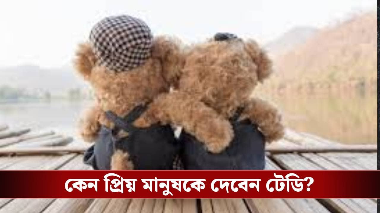 Teddy Day 2026: টেডি ডে-র নেপথ্যে রয়েছেন মার্কিন প্রেসিডেন্ট, এই দিনের ইতিহাসটা জানেন?