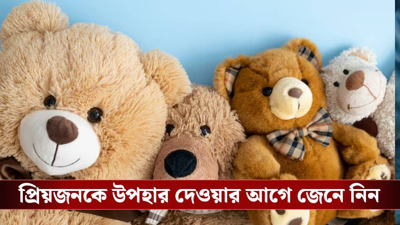 Teddy Day 2026: প্রেমের সপ্তাহে কেন উপহার হিসেবে সেরা টেডি?