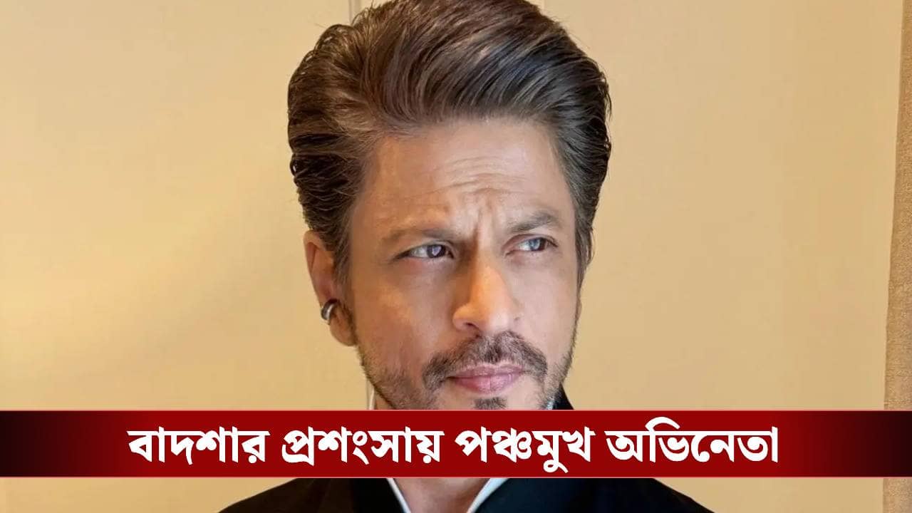 শাহরুখ আমার চেয়েও বড় অভিনেতা, স্পষ্ট সবাইকে জানিয়ে দিলেন অভিনেতা, জানেন কে?
