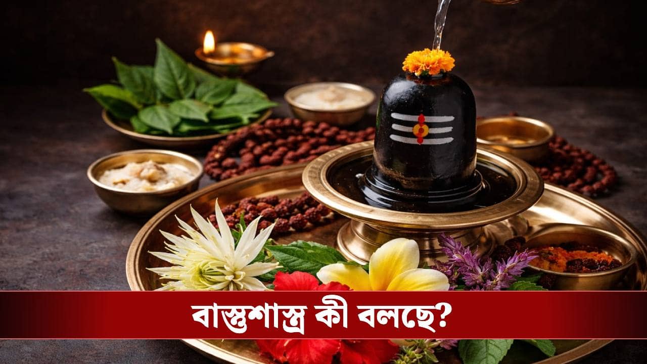 Maha Shivratri 2026: জানেন ঠাকুর ঘরের কোনদিকে শিবলিঙ্গ রাখতে হয়?