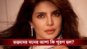 জল্পনার অবসান! 'ডন ৩', 'কৃষ ৪'এ থাকছেন প্রিয়াঙ্কা? জানালেন নিজেই