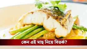 পাঙ্গাস মাছ নিয়ে এত ভয় কেন? আসল সত্যিটা জানেন?