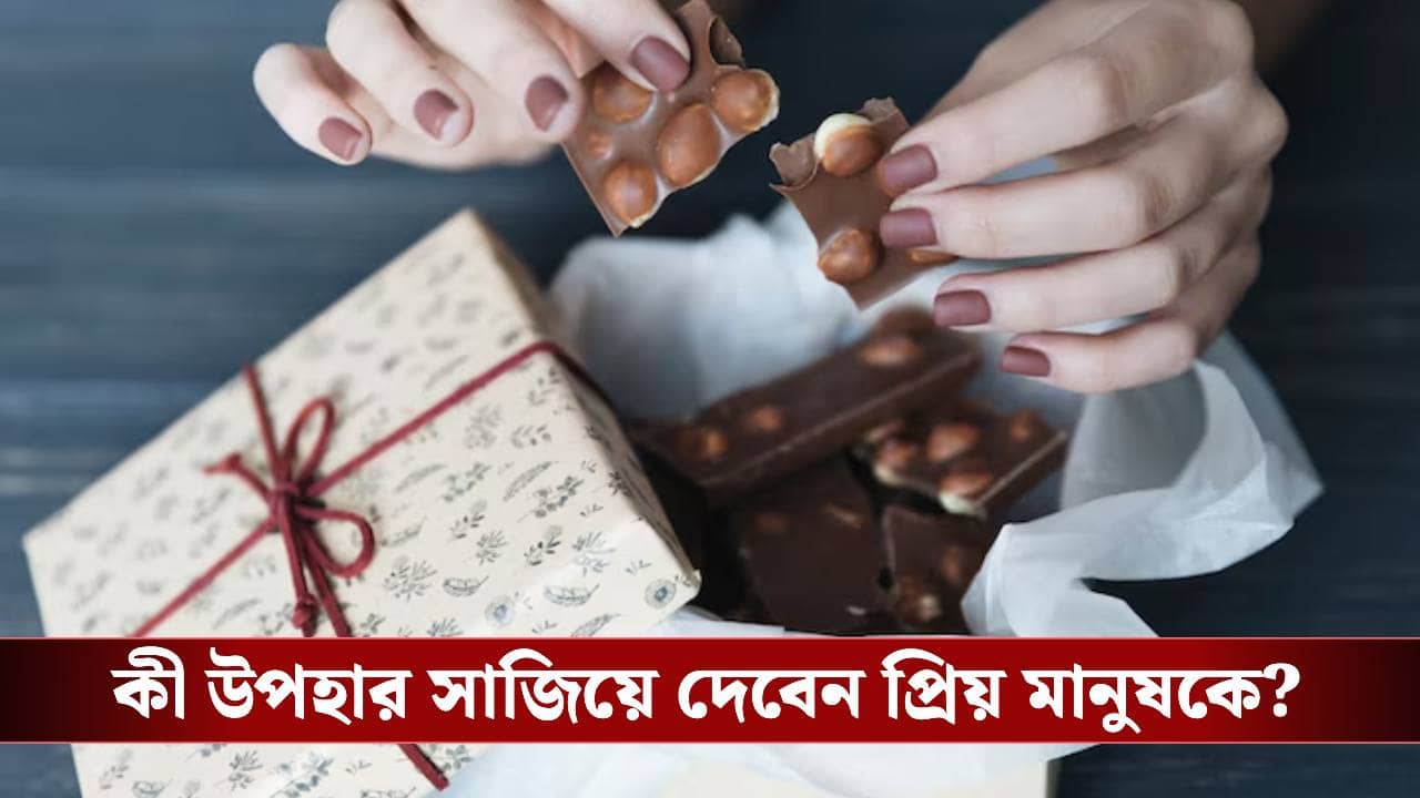 Chocolate Day Gift Ideas: ভালোবাসার মিষ্টি দিন চকোলেট ডে তে ভালোবাসার মানুষকে দিন এই ইউনিক উপহার