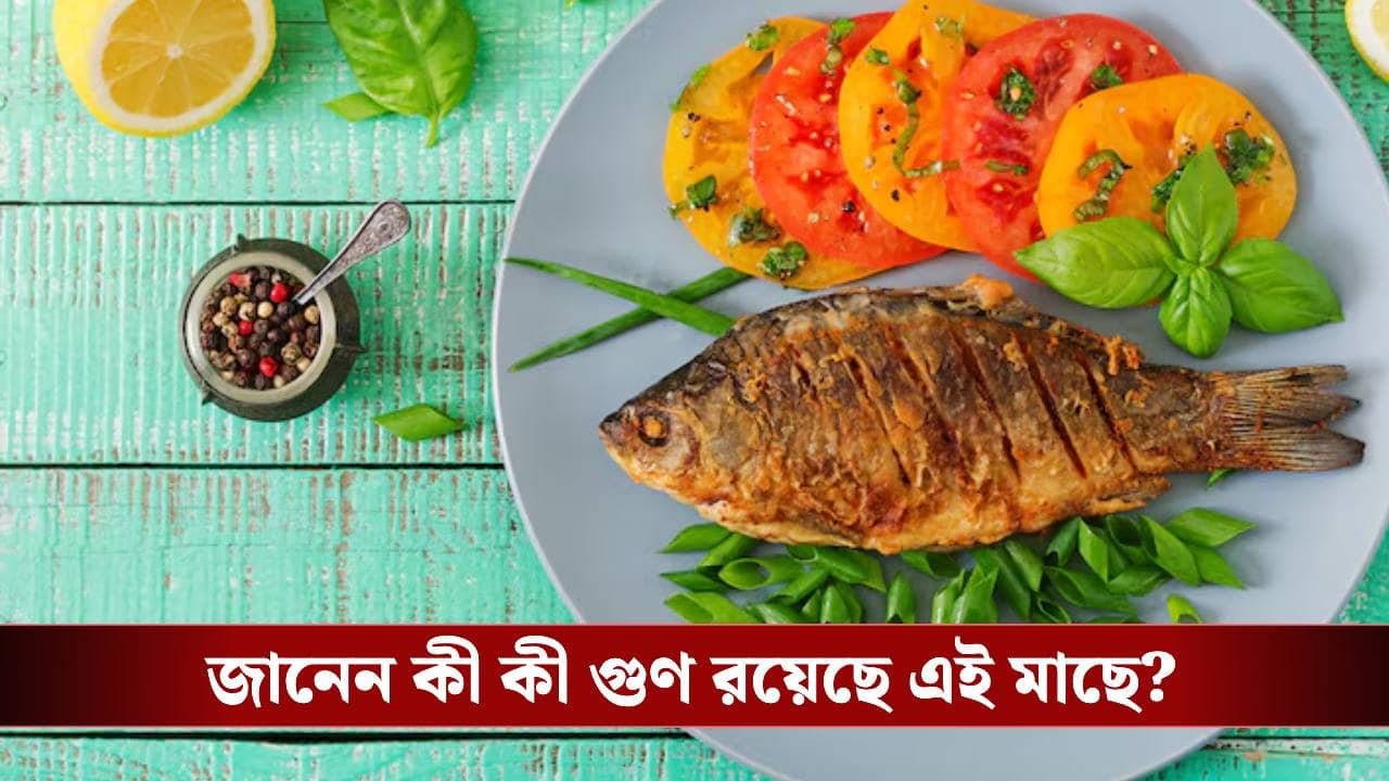 আপনি কি মাছপ্রেমী? পুষ্টিগুণে পরিপূর্ণ এই মাছটিকে বাদ দিচ্ছেন না তো?