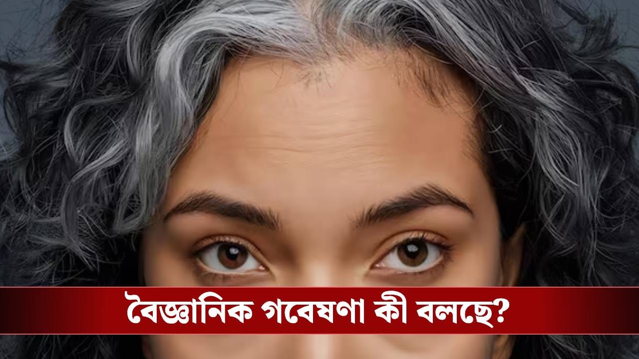 কম বয়সে চুল পাকা, বড় কোনও রোগের ইঙ্গিত নয় তো? কম বয়সে চুল পাকা, বড় কোনও রোগের ইঙ্গিত নয় তো?