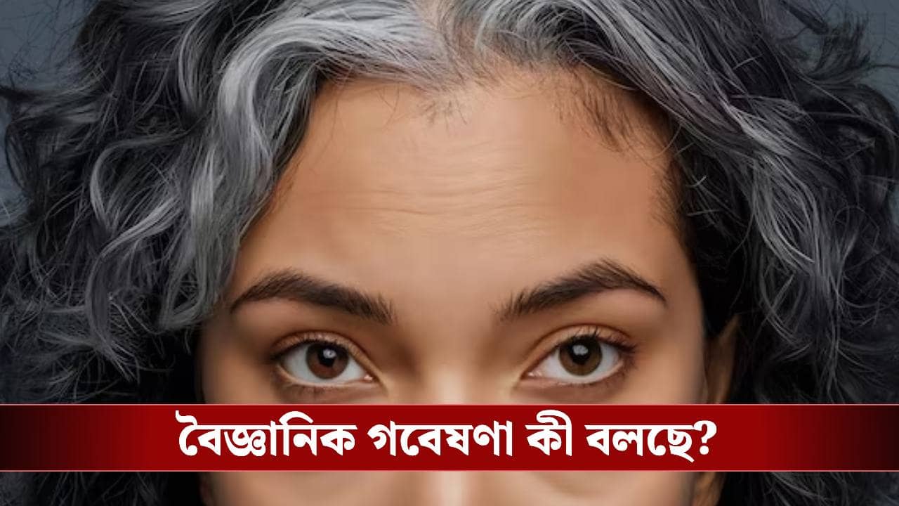 কম বয়সে চুল পাকা, বড় কোনও রোগের ইঙ্গিত নয় তো?