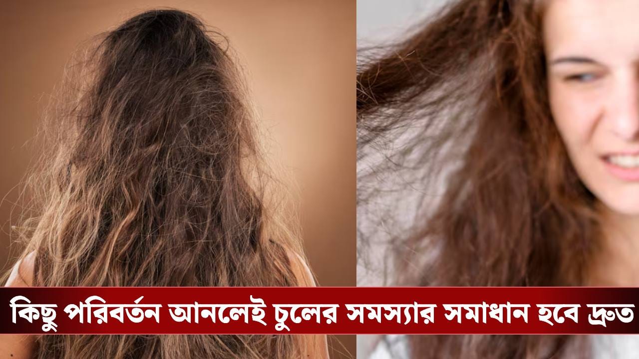 চুলের শুষ্ক, পাতলা হওয়ার সমস্যায় নাজেহাল? কয়েকটা টিপস মানলে চুল দেখে চমকে যাবেন!