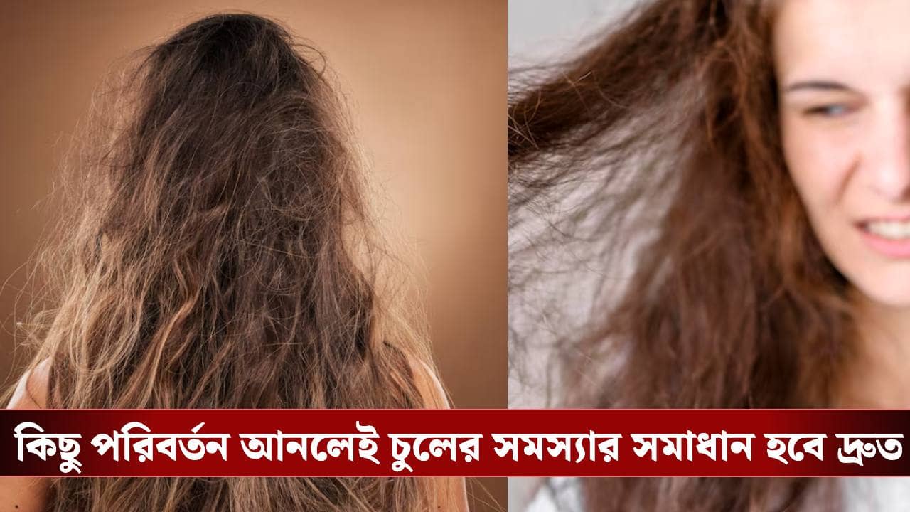 চুলের শুষ্ক, পাতলা হওয়ার সমস্যায় নাজেহাল? কয়েকটা টিপস মানলে চুল দেখে চমকে যাবেন!