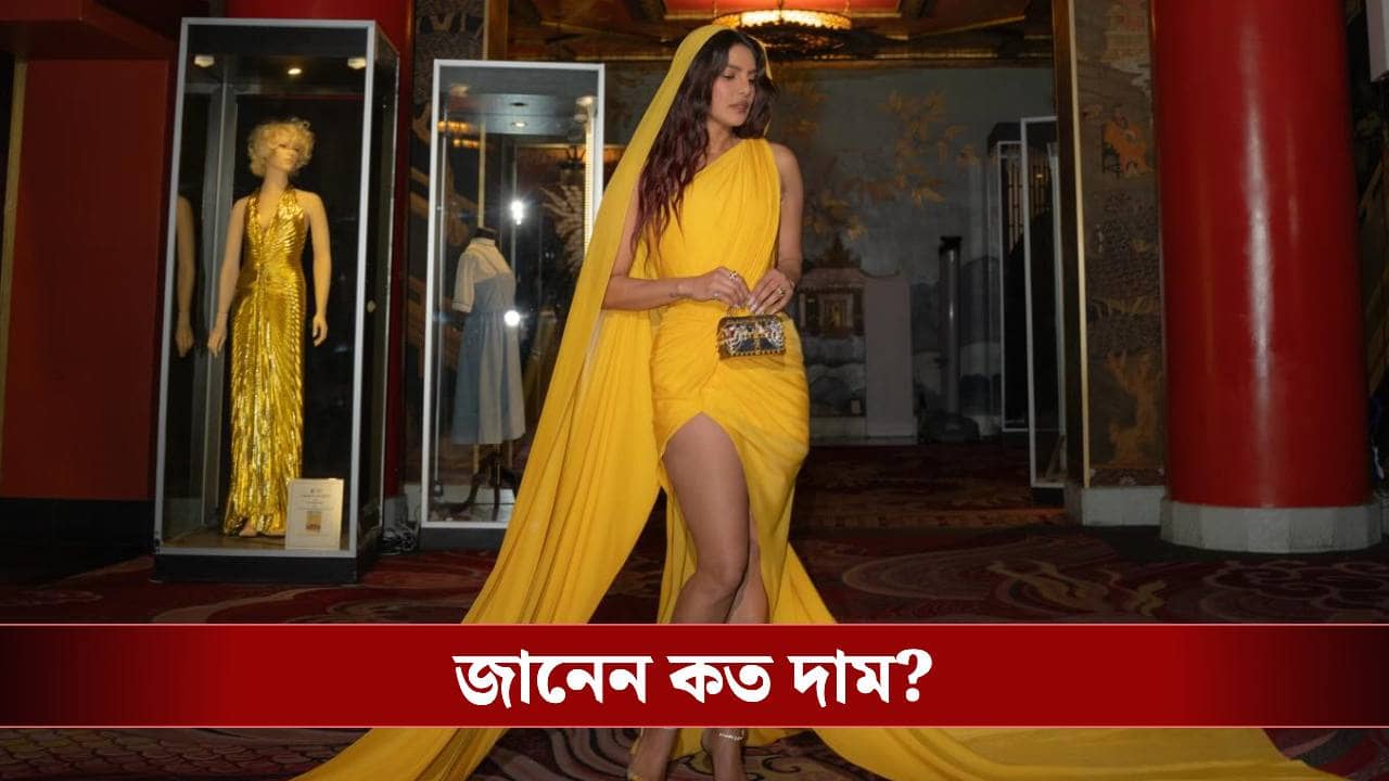 প্রিয়াঙ্কার হাতে আস্ত একটা সিন্দুক ! দাম শুনলে চোখ কপালে উঠবে
