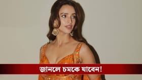 অল্পদিনেই কোটি টাকার মালিক! তৃপ্তি দিমরির সম্পত্তির পরিমাণ জানেন?