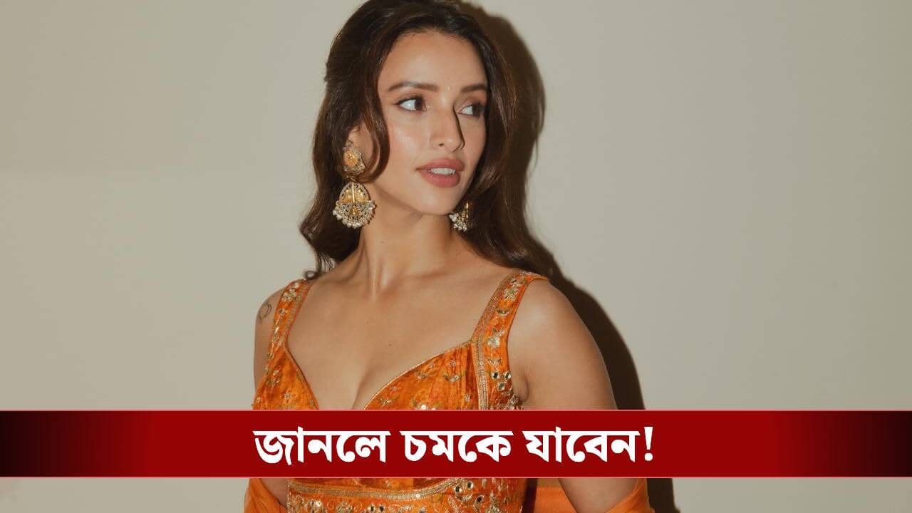 অল্পদিনেই কোটি টাকার মালিক! তৃপ্তি দিমরির সম্পত্তির পরিমাণ জানেন?