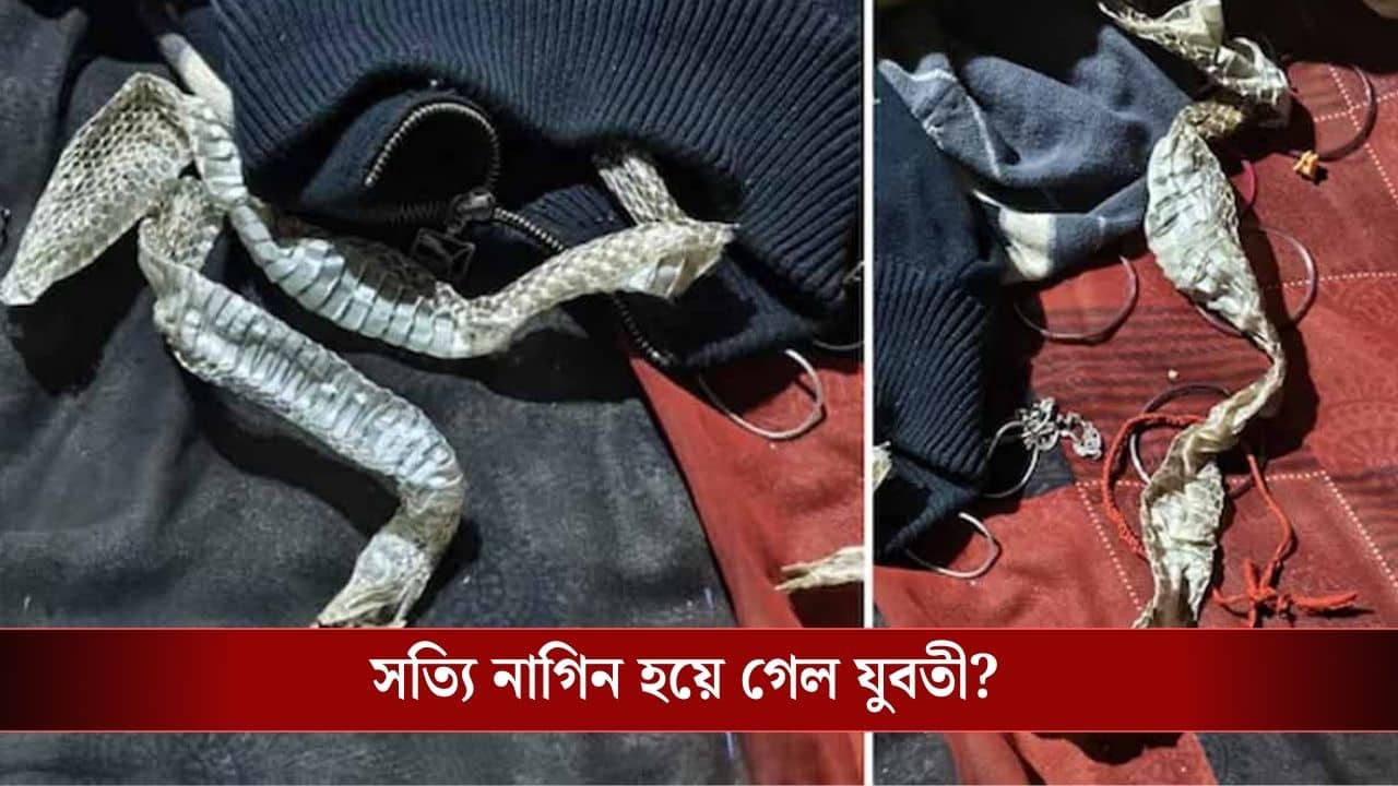 বিছানায় পড়ে সাপের খোলস! পুলিশকে ফোন করে মায়ের চিৎকার নাগিন, নাগিন