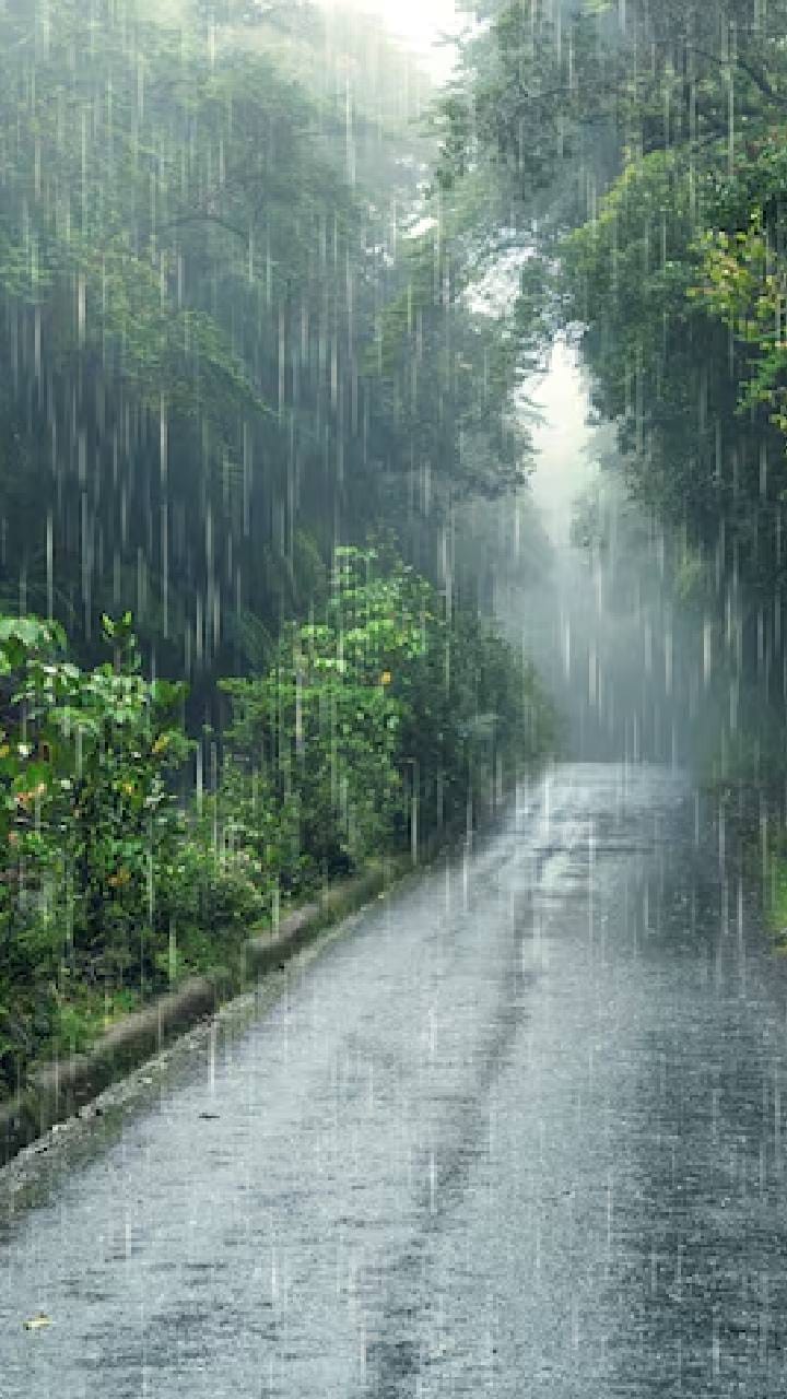 শীতের মাঝে বর্ষার আমেজ! মেঘে ঢেকেছে আকাশ