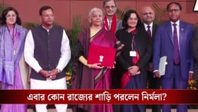 প্রতিবারই থাকে ভোটের ছোঁয়া, অর্থমন্ত্রী এবার কোন রাজ্যের শাড়ি পরলেন?