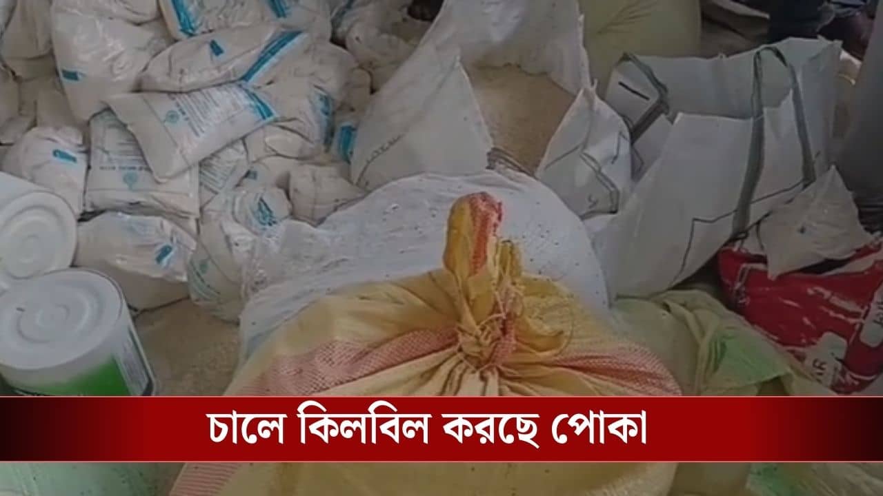 Dhupguri Ration Protest : Expired আটা দিচ্ছে রেশন দোকান, সঙ্গে গিফ্ট পোকা!