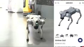 চিনা রোবট কুকুরকে নিজেদের বলে দাবি! AI সামিট থেকে বাদ এই বিশ্ববিদ্যালয়