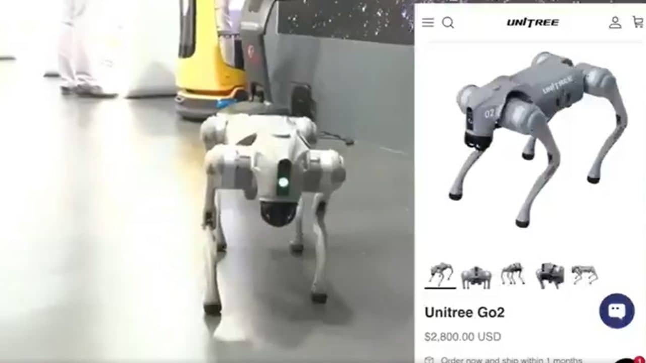 China Robot Controversy: চিনা রোবট কুকুরকে নিজেদের বলে চালানোর চেষ্টা! AI Summit থেকে ছুঁড়ে ফেলা হল এই বিশ্ববিদ্যালয়কে