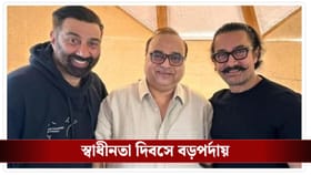 সানি দেওল আর আমির খান কাজ করছেন আগামী ছবিতে?