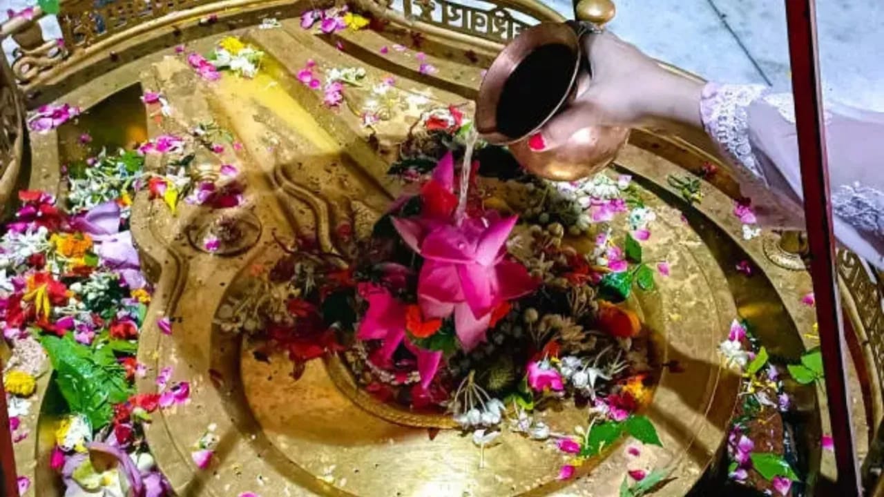 Maha Shivratri 2026: শিবরাত্রির চার প্রহর, শুধুই জল ঢাললে চলবে না, শিবকে তুষ্ট করার সঠিক নিয়ম জেনে নিন Maha Shivratri 2026: শিবরাত্রির চার প্রহর, শুধুই জল ঢাললে চলবে না, শিবকে তুষ্ট করার সঠিক নিয়ম জেনে নিন