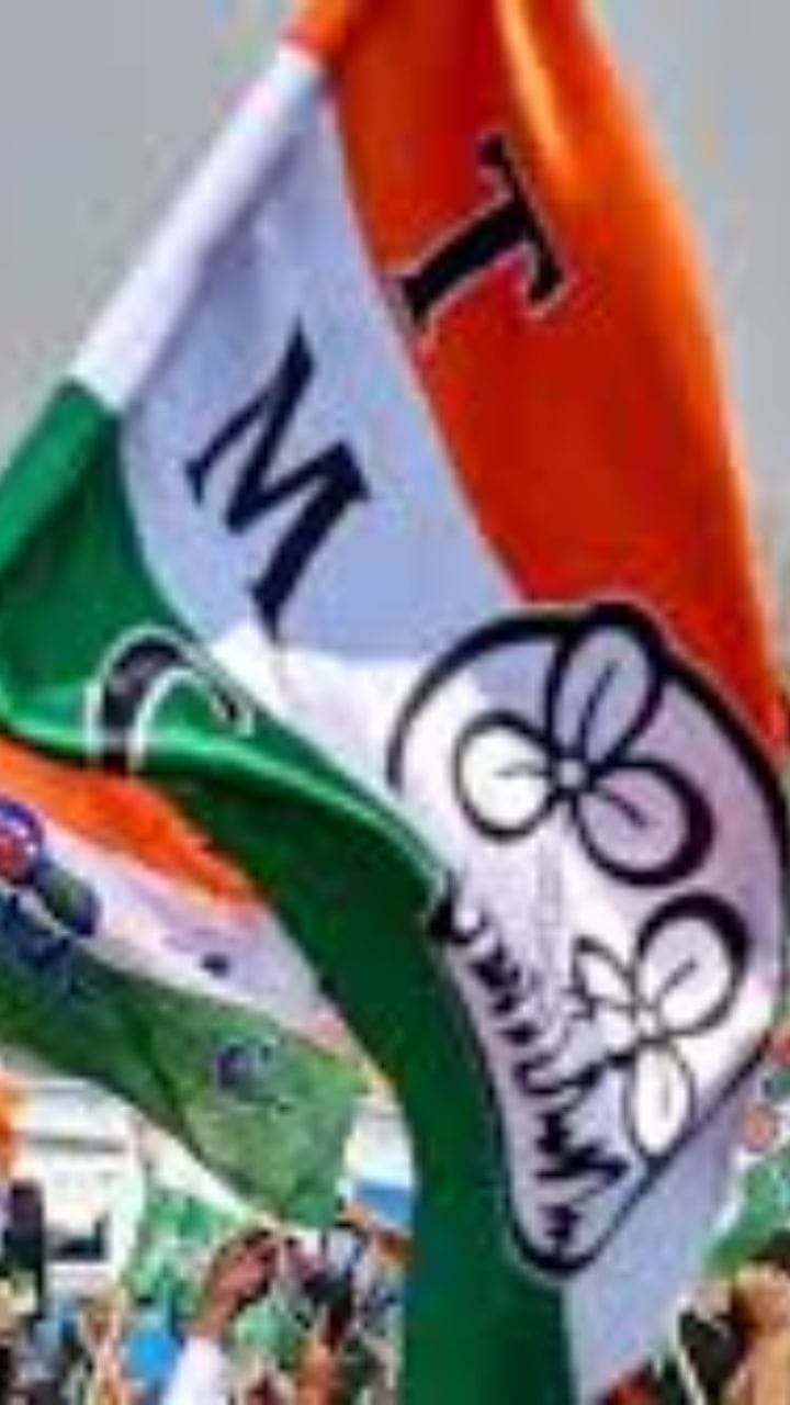 বিধানসভা ভোটে তৃণমূলের প্রার্থী হতে চান? সহজ উপায় এল...