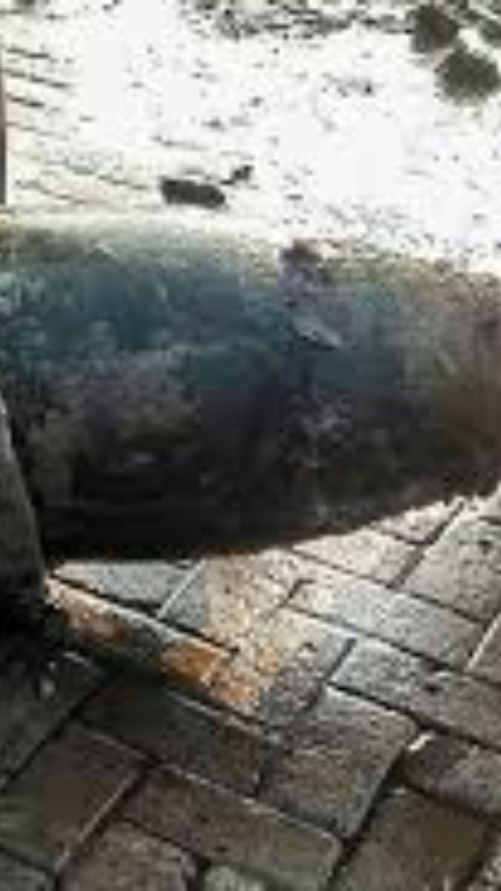 দ্বিতীয় বিশ্বযুদ্ধের সময়ের বোমা ফাটল বীরভূমে!