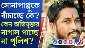 এখনও কেন অধরা সোনা পাপ্পু? মাথায় কার হাত?
