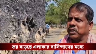 Tiger Scare: বাঘ বেরিয়েছে আরামবাগে? অন্ধকার নামলেই বাড়ছে কুকুরের চিৎকার, আতঙ্কে সিঁটিয়ে স্থানীয় বাসিন্দারা