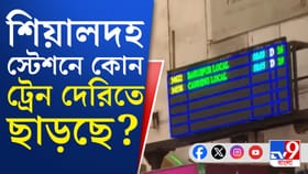 শিয়ালদহ থেকে দেরিতে চলছে লোকাল, হঠাৎ কী হল?