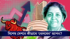 নজরে নির্মলার 'মাস্টারস্ট্রোক', আজ খোলা থাকছে ভারতের শেয়ার বাজার!