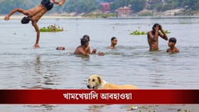বসন্তকাল এলই না, সোজা গরমের এন্ট্রি! এখনই ৩৩ ডিগ্রি, দু'দিন পর কী হবে?