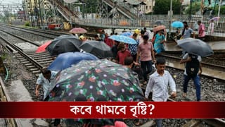 Weather Latest Update: রবি থেকেই শুরু বৃষ্টি, ভাসবে এইসব জেলা, কতদিন ধরে চলবে?