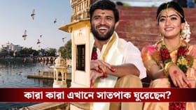 কেন সেলিব্রিটিদের বিয়ের ‘ডেস্টিনেশন’ এখন শুধুই উদয়পুর? ভাড়ার অঙ্ক জানল