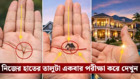হাতে এই চিহ্ন থাকলেই হবেন অট্টালিকার মালিক! কী বলছে জ্য়োতিষশাস্ত্র?