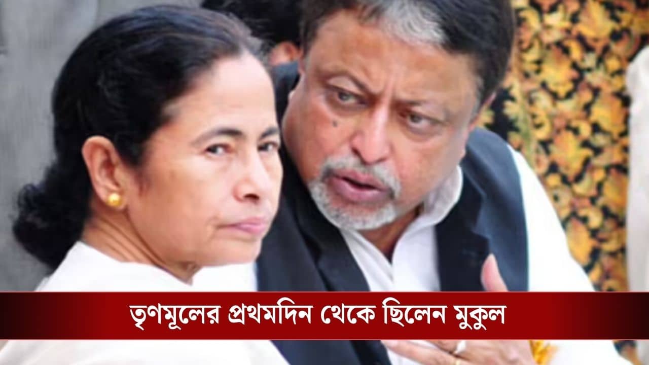 Mukul Roy-TMC: মুকুল ধরার সময় থেকেই ছিলেন, কীভাবে কাঁচরাপাড়ার ছেলে তৃণমূলের সেকেন্ড ইন কম্যান্ড হয়েছিলেন?