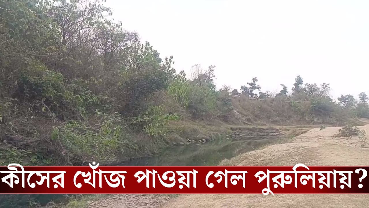 Purulia: পুরুলিয়ার গভীর জঙ্গলে খোঁজ মিলল 'রহস্যের'! এতদিন বিশেষজ্ঞরা টেরটুকুও পাননি Purulia: পুরুলিয়ার গভীর জঙ্গলে খোঁজ মিলল 'রহস্যের'! এতদিন বিশেষজ্ঞরা টেরটুকুও পাননি