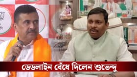১০ হাজারি চেক বিলি! 'আয়ের উৎস কী?', TMC সাংসদকে ডেডলাইন শুভেন্দুর