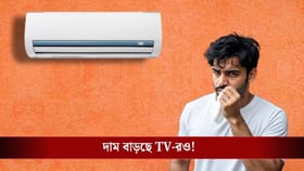 গরমে নাজেহাল? AC-র দাম দেখলে আরও ঘাম ছুটবে! কত দাম বাড়ছে জানেন...