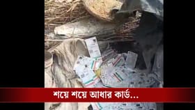 মালদহের হবিবপুরে উদ্ধার ২ বস্তাভর্তি প্যান-আধার কার্ড
