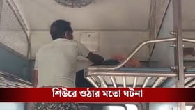 ট্রেন থামার পরও সকলে ভাবেন ঘুমাচ্ছেন, বাঙ্কার সাফাই করতে গিয়ে যা হল...